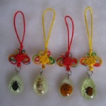 Real Insect Phone Straps