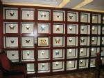 Butterfly decorative frame，press flower frame,handmade craft,press flower craft,room frame,wall frame,dried flower craft